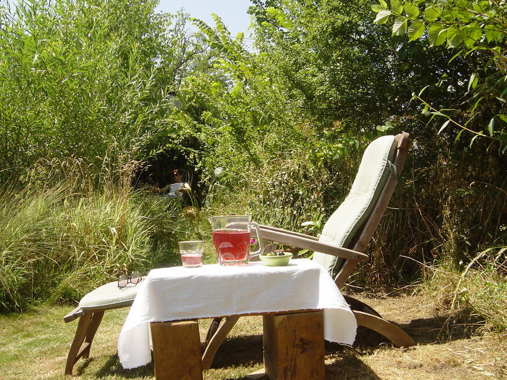 Chez Tartaud Villa Lathus St Remy Rum bild